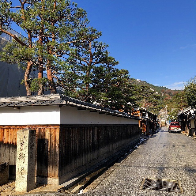 赤松なが見事な@近江八幡