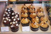 モナーク カップケーキ／色とりどりのカップケーキ