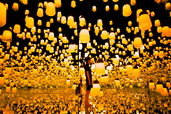 EPSON teamLab Borderless_呼応するランプの森 - ワンストローク