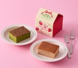 「春のチーズケーキセット 苺&抹茶」<価格:680円(税込)>【【Afternoon Tea】お花のような「いちごクッキー」 や「いちごドリンク」など♪苺シーズン限定ギフト11種を発売!】