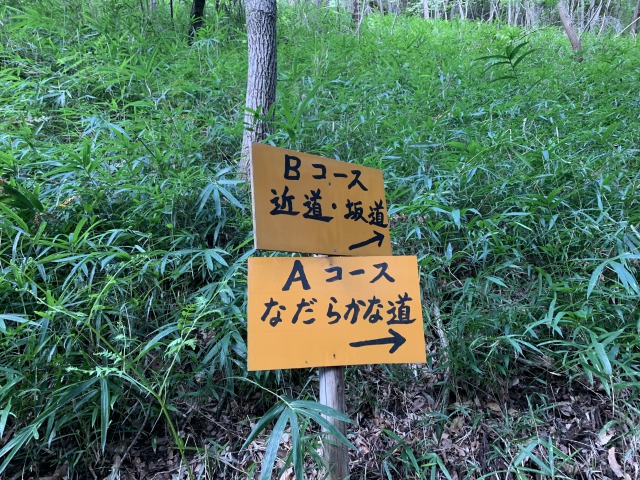 Aは歩行距離が長め、Bは勾配が急なコース。どちらも体力がない人はちょっと辛いかも
