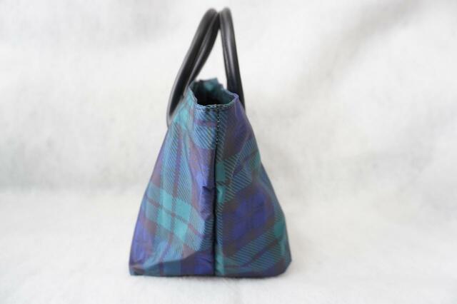 横から見たところ