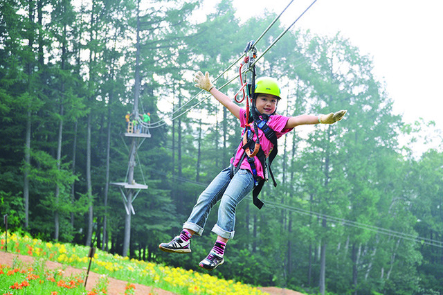 タングラム斑尾　ジップスライダー