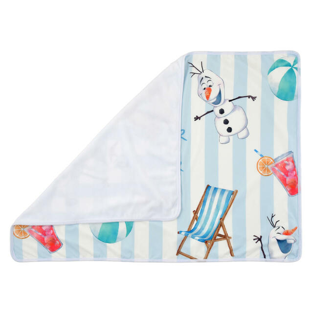 ブランケット ケース入り Disney Cool Goods 5,000円