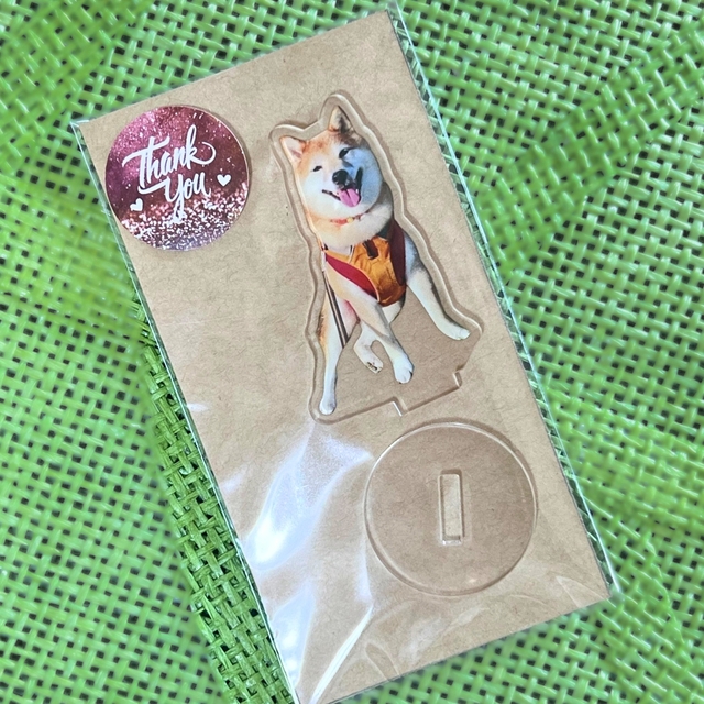 仕上がりがめちゃくちゃ可愛い〜