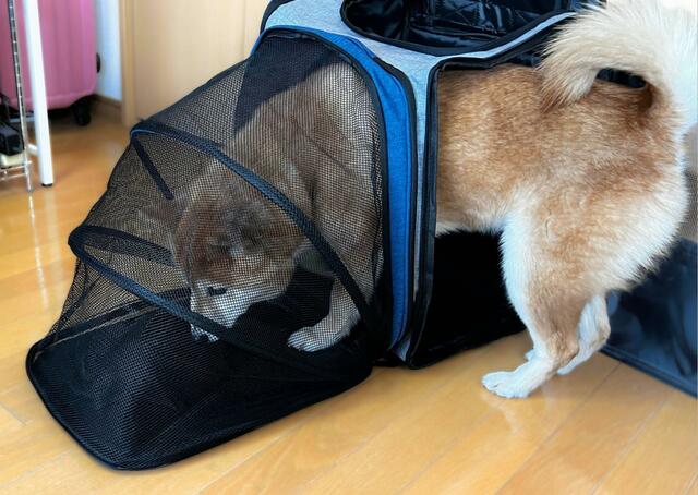 【Grarg犬猫キャリーリュックバッグ拡張可能3WA】本体左右にも出入口があります