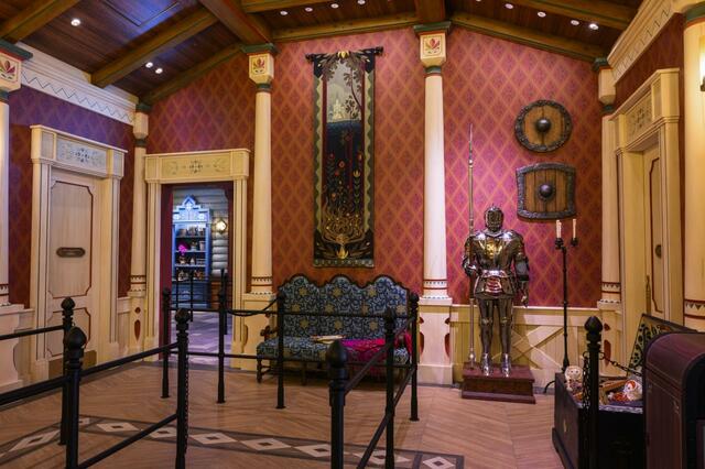 東京ディズニーシー「ファンタジースプリングス」内「アナとエルサのフローズンジャーニー」