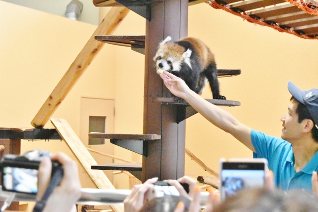 エサやりも近くで見られる