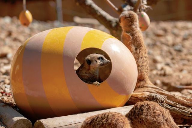 豊橋総合動植物公園 (のんほいパーク)