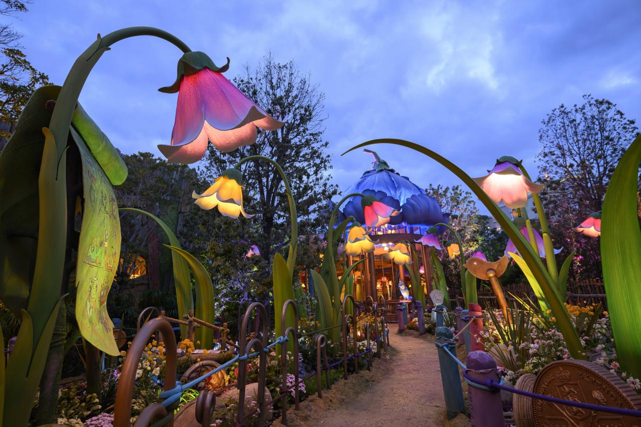 img_b7db357a558368b872d1c9e4b4