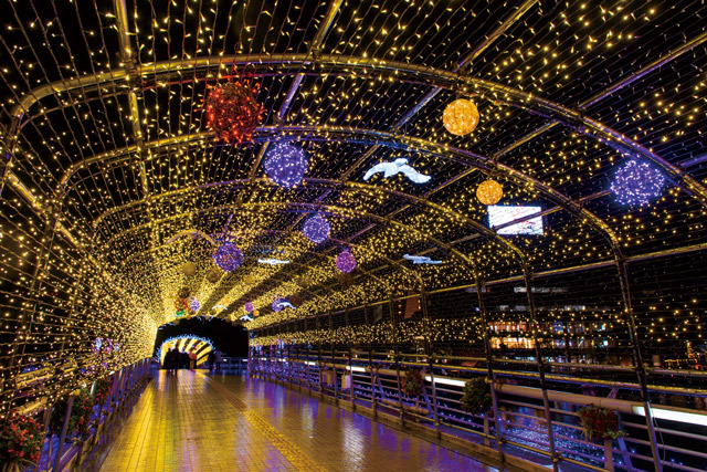 【イルミネーション部門】第9位　小倉イルミネーション