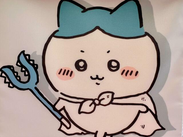 【ファッションセンターしまむら】ランカーの真似をしてマントをしているハチワレがキュート