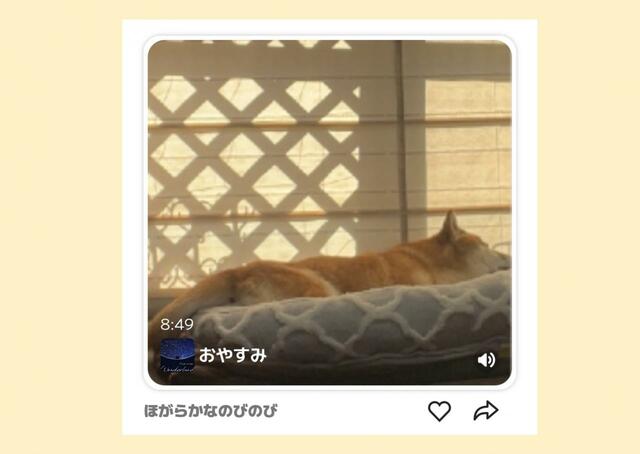 【オトとりっぷ】留守番中も好みの曲を聴きながらリラックス