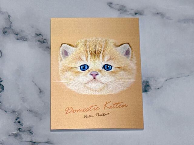 【カルディ キャット メモパット チョコレート】2点目はブリティッシュショートヘアの子猫が表紙のメモパットを選びました♪