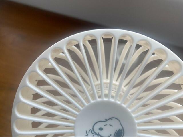【cookpad plus(クックパッド プラス)2023年夏号増刊 スヌーピーハンディ扇風機】気になる風力は?