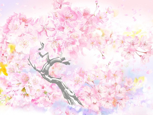 【スターバックス】“日本の桜”をモチーフに日本画の要素を取り入れた現代風デザイン