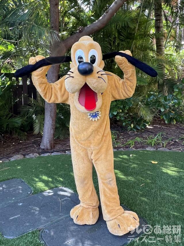 アウラニで会えるキャラクター