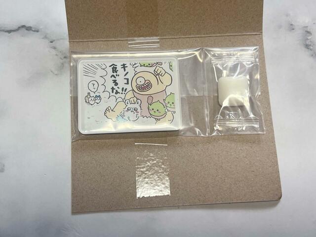 16．オデ＆ゴブリン＆モモンガでした！