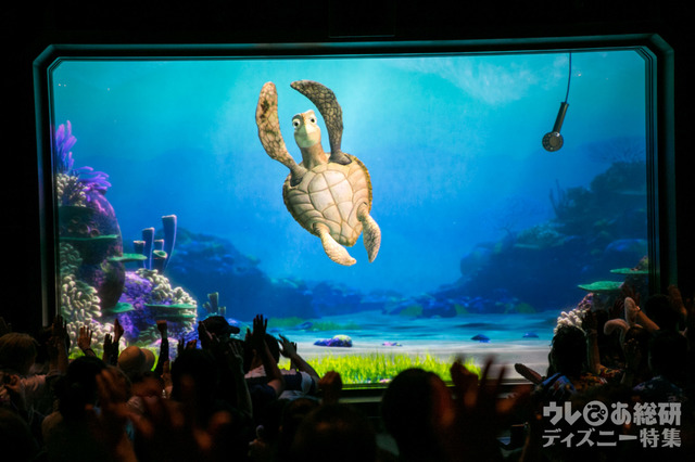 タートル・トーク｜東京ディズニーシー