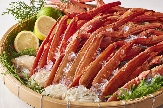 「本ズワイガニ」＜期間：2025年1月1日、2日＞【「本ズワイガニ」が食べ放題！新年を祝う美食が勢揃いする「お正月ランチブッフェ」は“1月1日・2日”限定開催！】　