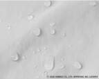 【ハローキティ】少々の雨や水滴ならサッと拭き取れる、お出かけに安心の「軽撥水加工」