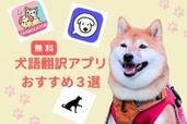 【無料】愛犬とおしゃべりができる!? おすすめ「犬語翻訳アプリ」3選