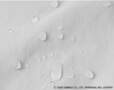 【ハローキティ】少々の雨や水滴ならサッと拭き取れる、お出かけに安心の「軽撥水加工」