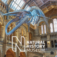 「2020秋冬 ナチュラルヒストリーミュージアム」