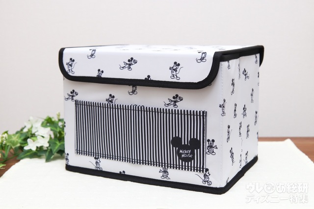 『InRed 2021年8月号』特別付録「収納ボックス」