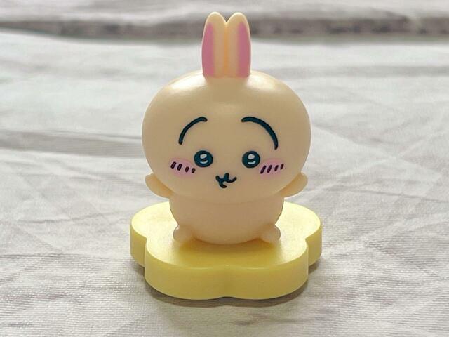 やんちゃで破天荒なところが魅力のうさぎ!両手を広げてるポーズもキュート!