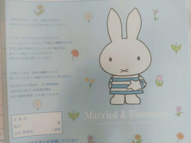 爽やかなミッフィーのイラストつき