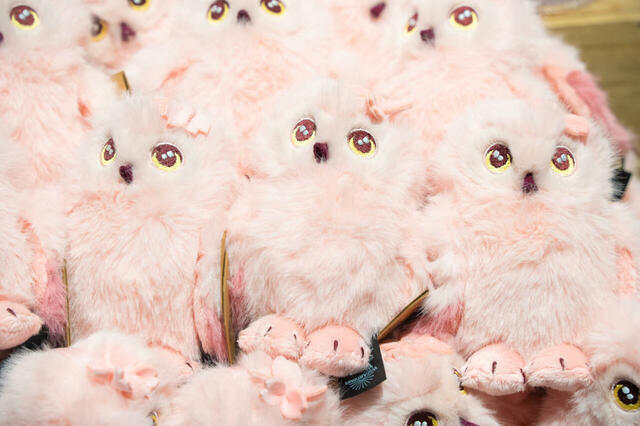 サクラ フクロウ ぬいぐるみ 5,000円