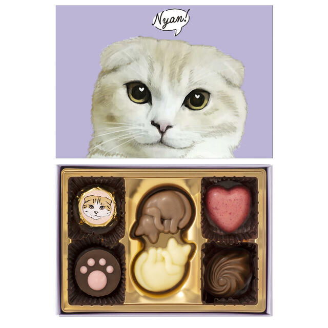 にゃそーてっどチョコレート　6個入 702円（税込）