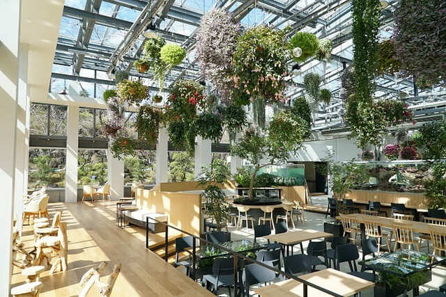 【よみうりランド】HANA・BIYORI　カフェスペース