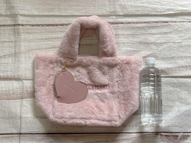 550mlのペットボトルと並べてみました。もちろん収納可能!