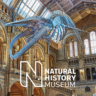 「2020秋冬 ナチュラルヒストリーミュージアム」