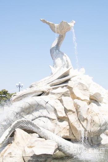 イタリアをはじめヨーロッパでは、水場にイルカ