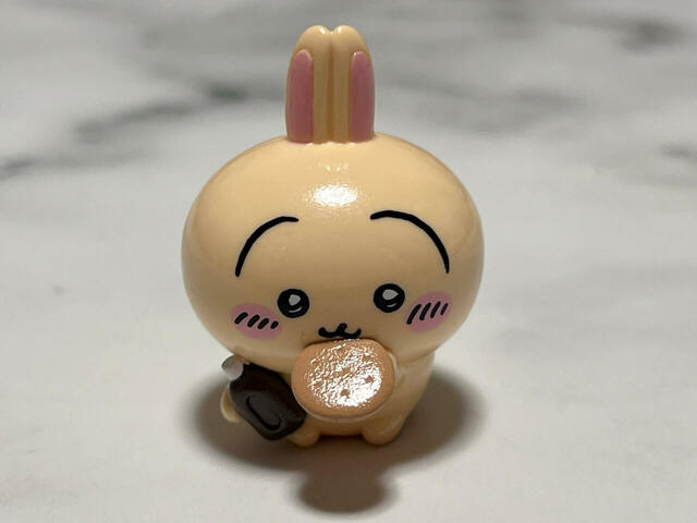 うさぎを見ていきましょう！