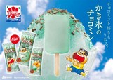 ガリガリ君リッチチョコミント 