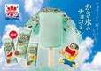ガリガリ君リッチチョコミント 