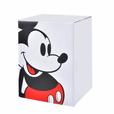 ミッキー フィギュア ホワイト Mickey Mouse Birthday 2021