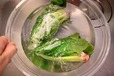【ほうれん草のごま和えの作り方】３．ラップごと20秒ほど水につけてアクを取る