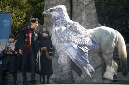 USJ】大興奮！「ハリー・ポッター」「ファンタビ」魔法生物とリアルに