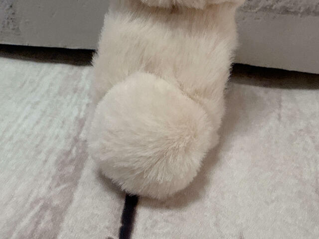 ふわふわまんまるのしっぽがかわいい！