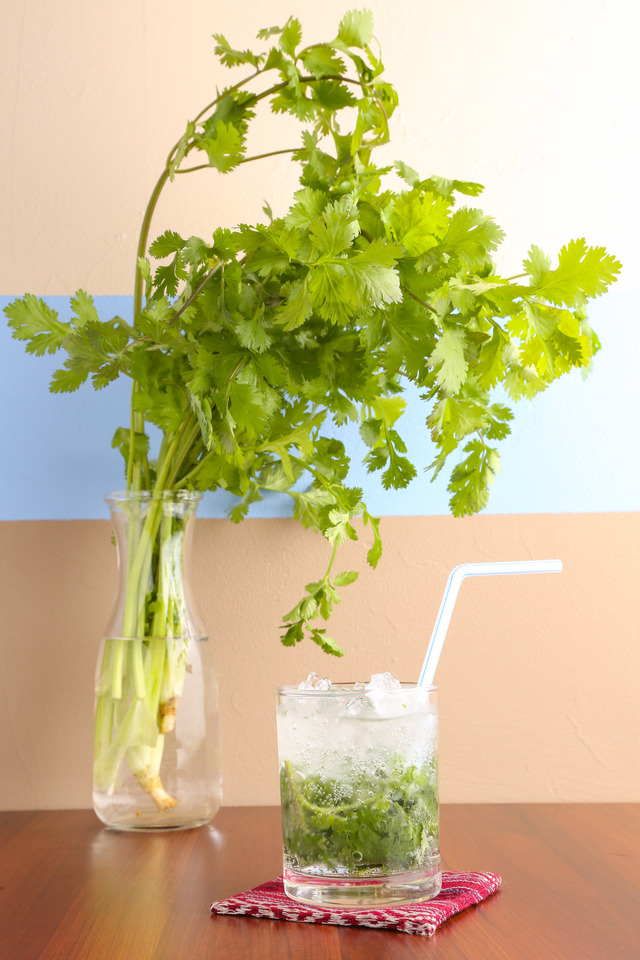 パクチーロケット　茎まで食べて