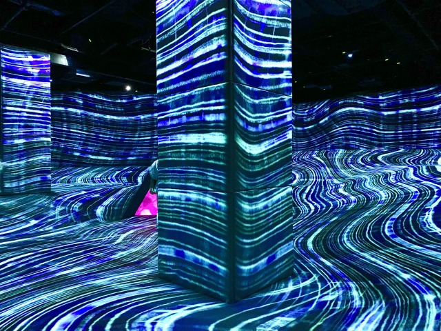 運動の森「鼓動する大地」