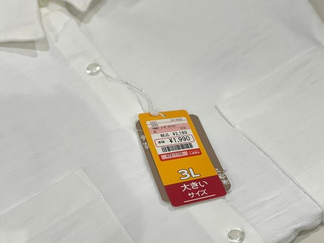 【ファッションセンターしまむら　レディースブラウス】ホワイトの3Lサイズ