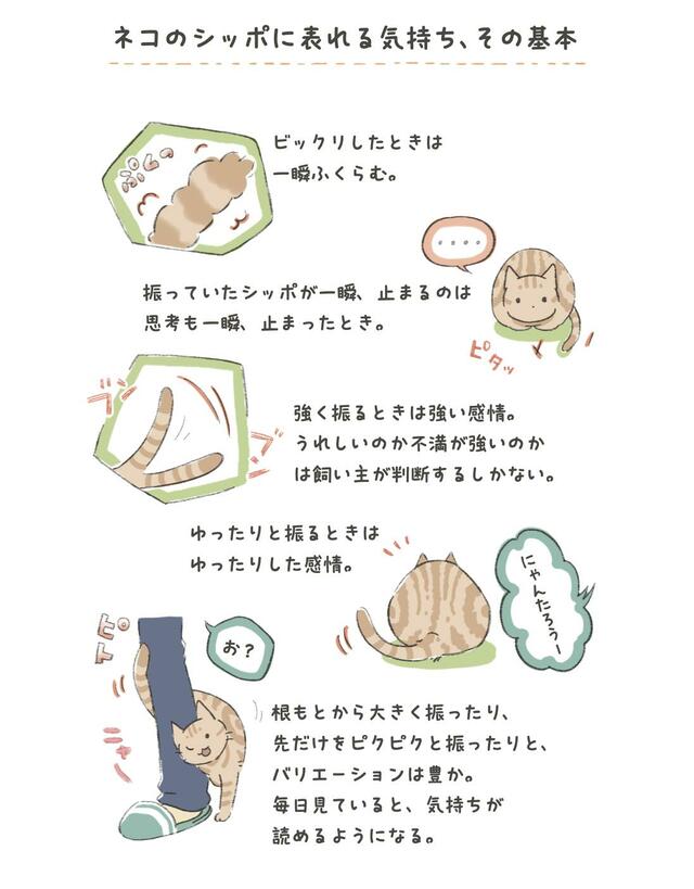 『ネコの気持ちがわかる50のポイント』より