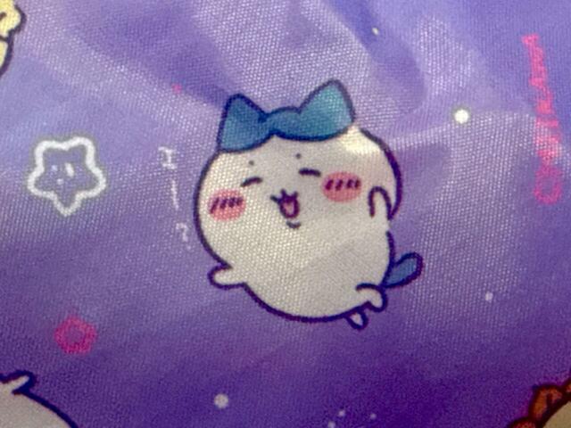 【ねーねー 2024年12・1月号付録】「エー？」という口癖のセリフ付きのハチワレ。にっこり笑顔がかわいすぎ…！