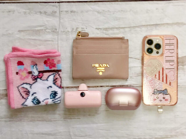 フロント上段ポケットに入れたものはこちら